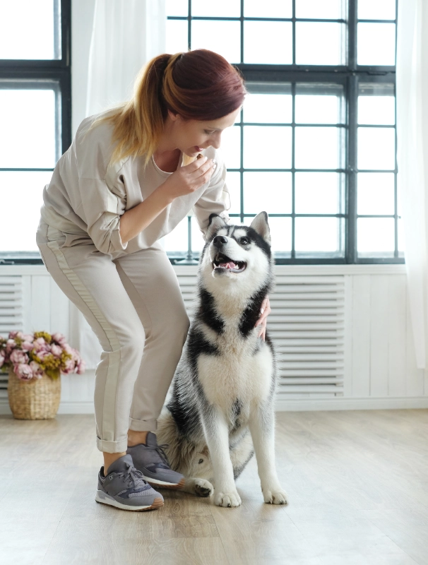 Hund bei Physiotherapie