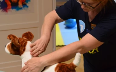 Kann Chiropraktik bei Hunden und Katzen in Wien angewendet werden?