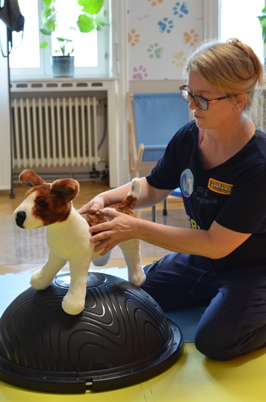 Physiotherapie