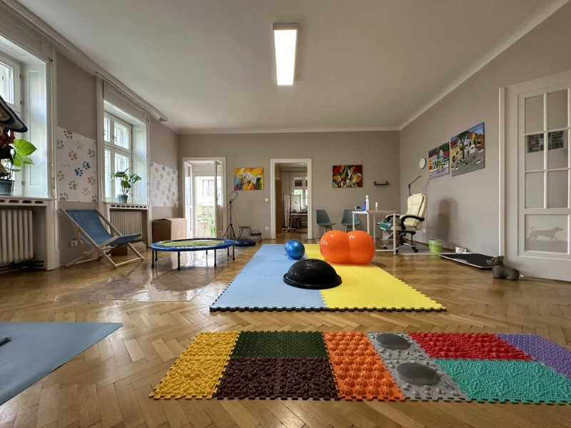 Tierarztpraxis Eisenstadt Physiotherapie Behandlungen