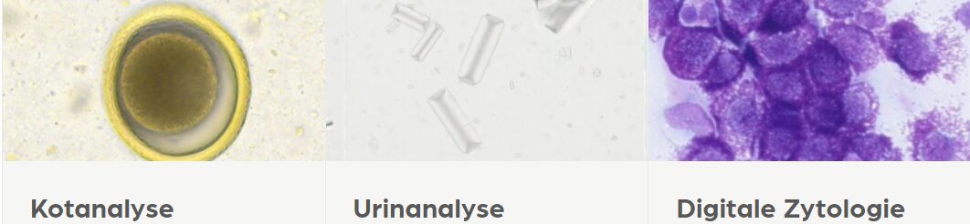 IMAGYST 1
